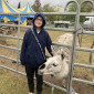 mit Lama