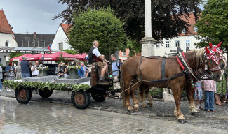 Pferdewagen mit Glocken